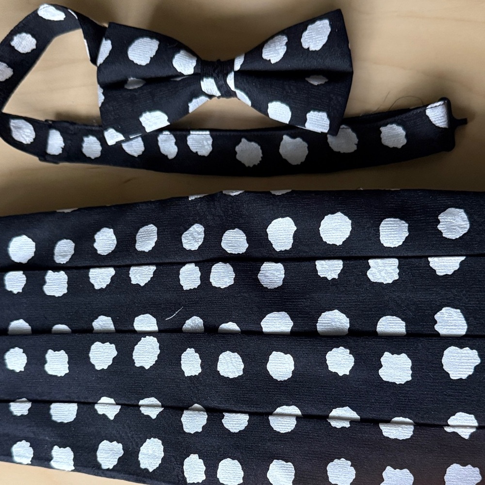 Polka Dot Black and White Tie
